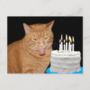 Postal Famoso cumpleaños de gatitos