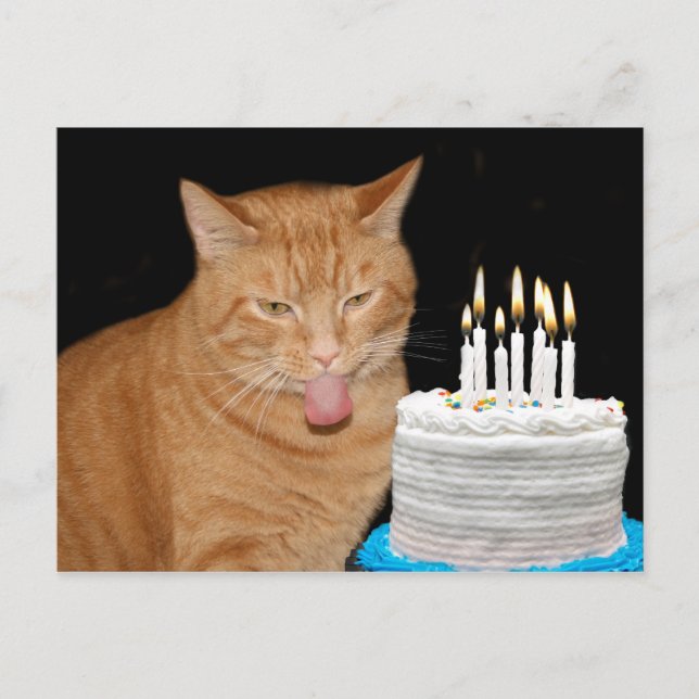 Postal Famoso cumpleaños de gatitos (Anverso)