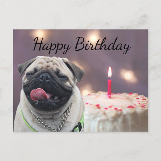 Postal Famoso cumpleaños de pug (Anverso)