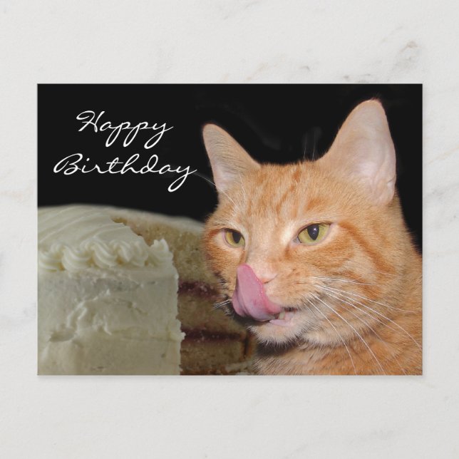 Postal Famoso gato Cumpleaños (Anverso)