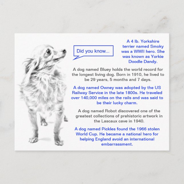 Postal Famosos perros hechos de diversión (Anverso)