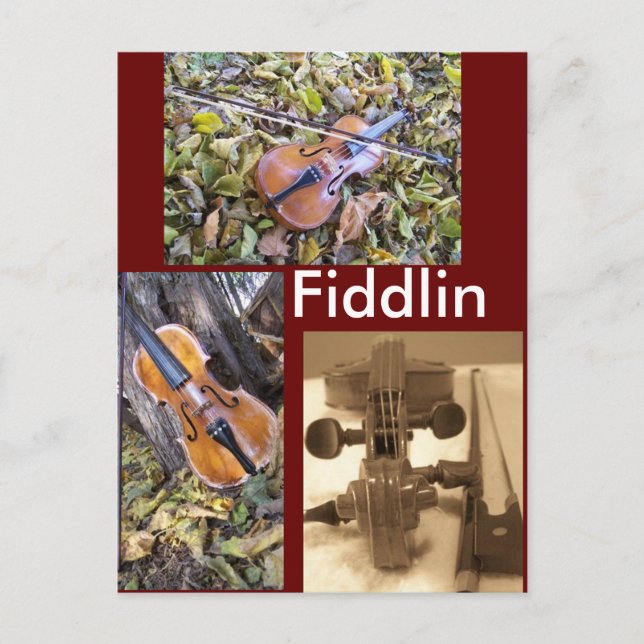 postal fanática de fiddlin (Anverso)