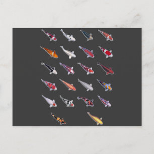 Postal Fanatical sobre Koi