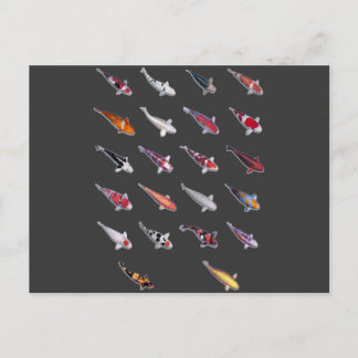 Postal Fanatical sobre Koi