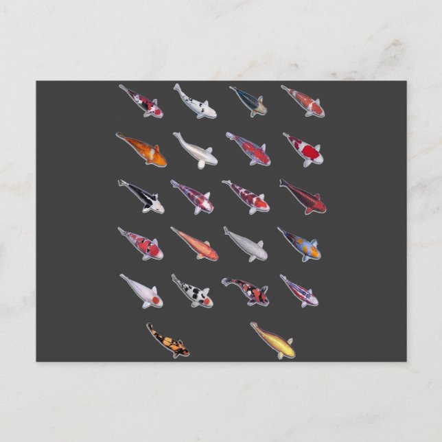 Postal Fanatical sobre Koi (Anverso)