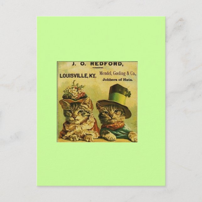 Postal Fancy Cats (Anverso)