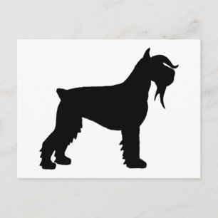Postal Fancy Giant Schnauzer