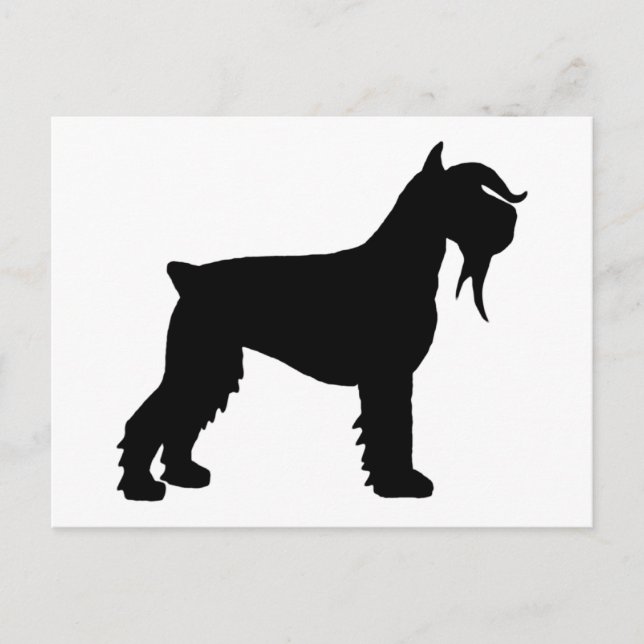 Postal Fancy Giant Schnauzer (Anverso)