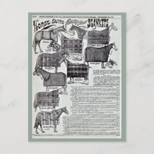Postal Fancy Horse Blankets
