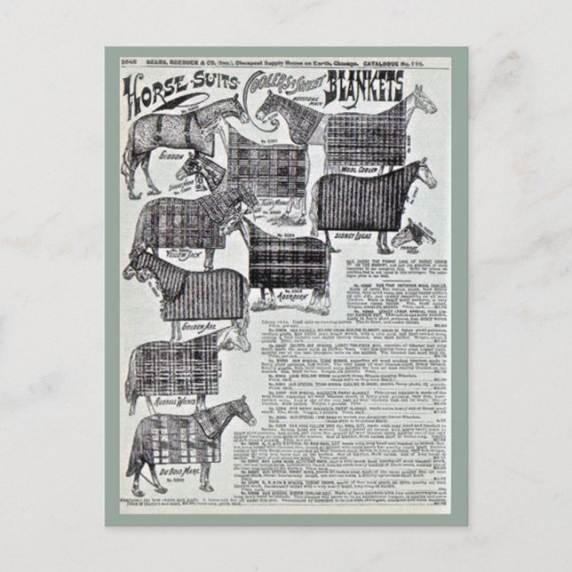 Postal Fancy Horse Blankets (Anverso)