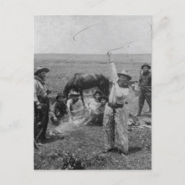 Postal Fancy Roping