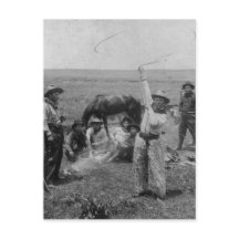 Fancy Roping