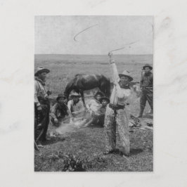 Postal Fancy Roping