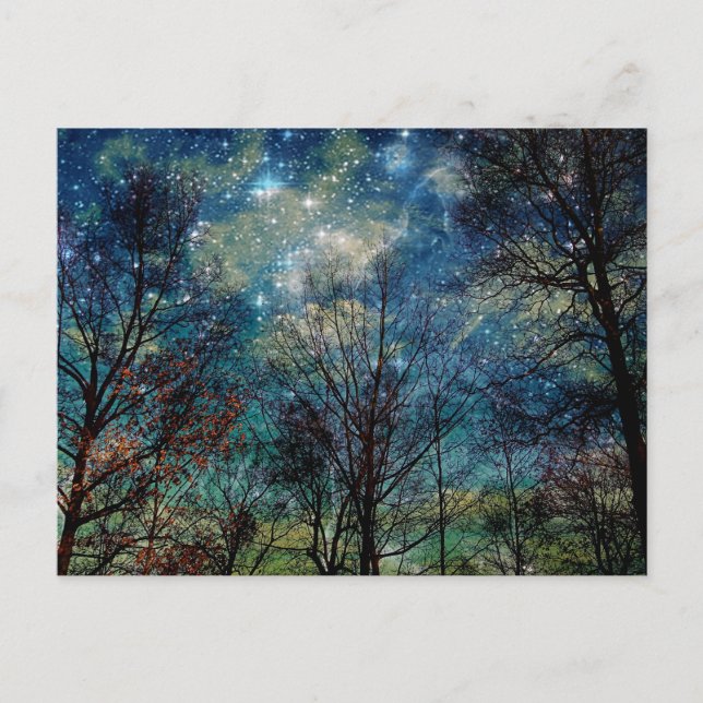 Postal Fantasía Bosque Celestial Woods Estrellas Nocturna (Anverso)