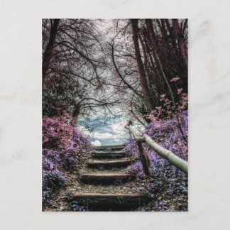 Postal Fantasía en los pasos forestales