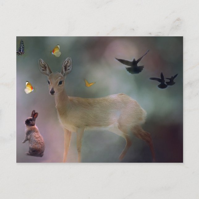 Postal Fantasía forestal de animales bebés (Anverso)