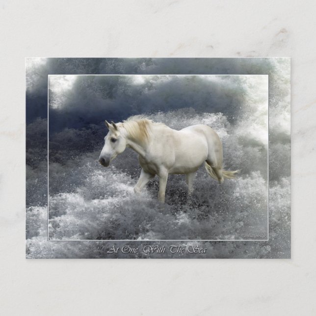 Postal Fantasía Regalos de Caballo Blanco y Surf Océano (Anverso)