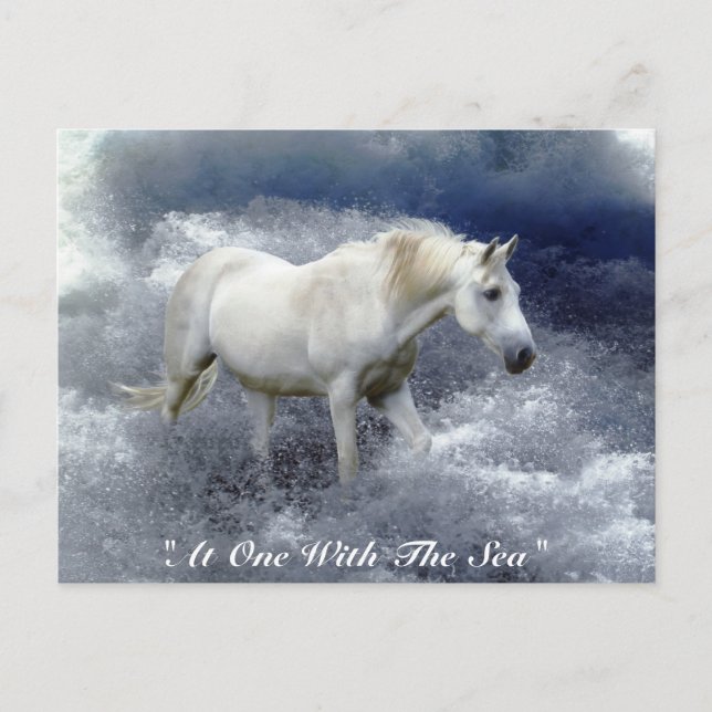 Postal Fantasía Regalos de Caballo Blanco y Surf Océano (Anverso)