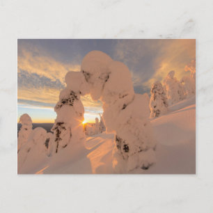 Postal Fantasmas de nieve en Whitefish Range
