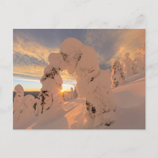 Postal Fantasmas de nieve en Whitefish Range (Anverso)