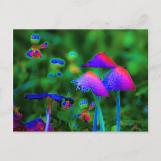 Postal Fantasy Mushrooms