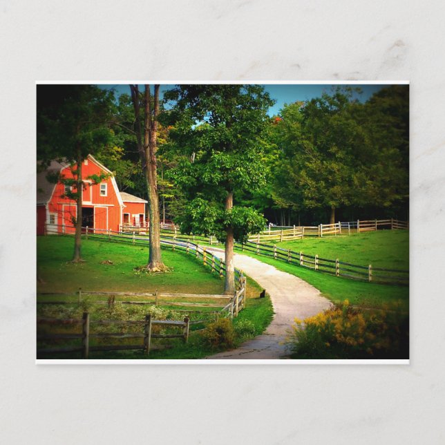 Postal Farm house cat in the barn yard (Anverso)