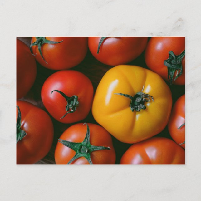 Postal Farms | Shiny Red & Yellow Tomatoes (Anverso)