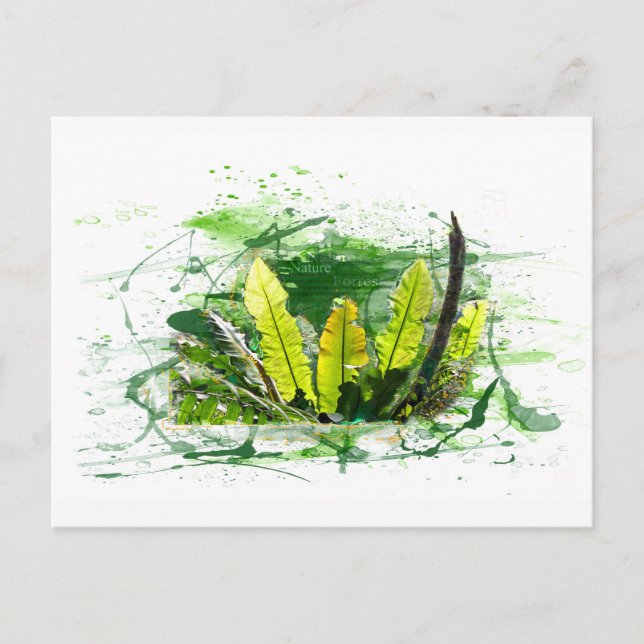 Postal Farn, Blätter, Dschungel, Landschaft, Natur (Anverso)