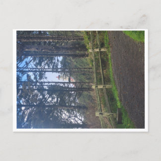 Postal Faro de la cabeza de Heceta en el sendero