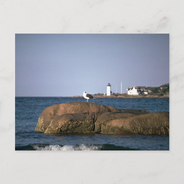 Postal Faro Eastern Point, Gloucester, Massachusett (Anverso)