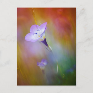 Postal Faro Old Point Loma   Monumento al Cabrillo