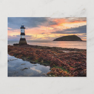 Postal Faro Penmon Sunrise Isla Puffin