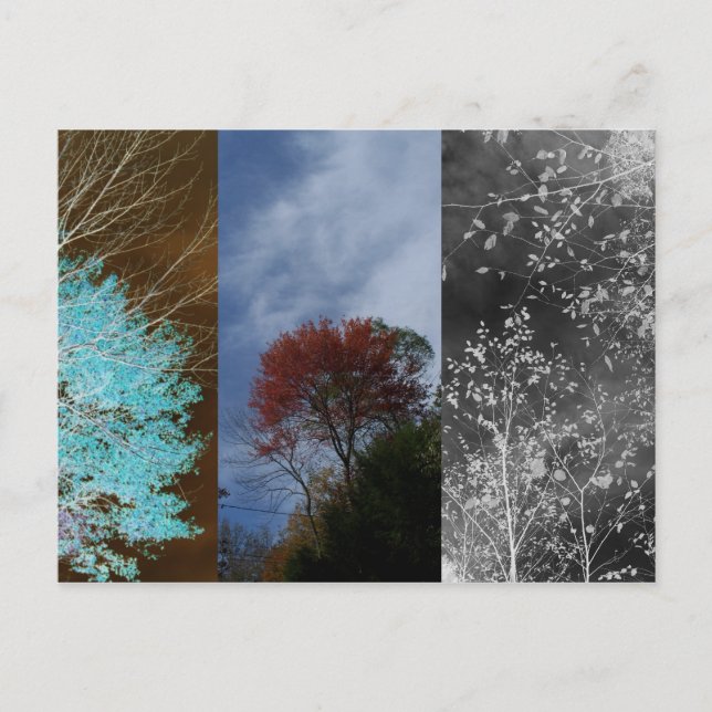 Postal Fases (Anverso)