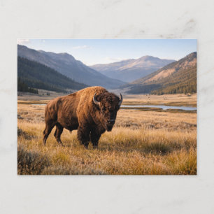 Postal Fauna Bisonte Americano Paisaje Montañoso