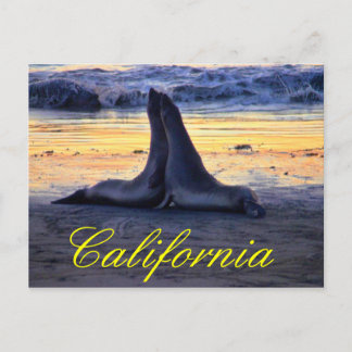 Postal Fauna de California