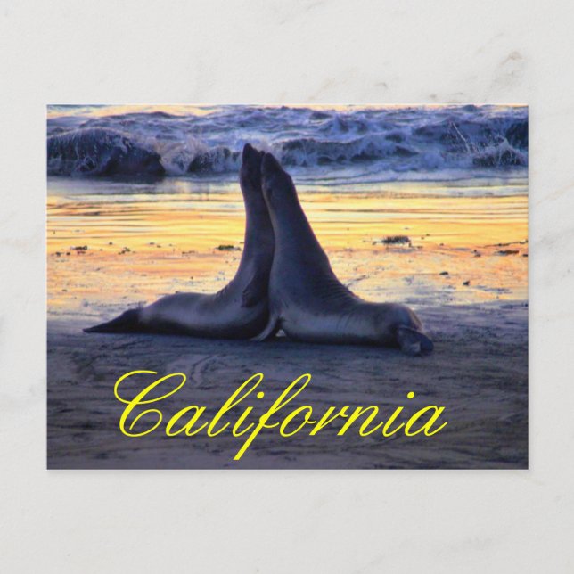 Postal Fauna de California (Anverso)