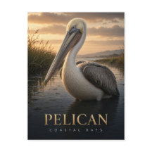 Fauna de las bahías costeras del pelícano ANIMAL