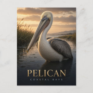 Postal Fauna de las bahías costeras del pelícano ANIMAL