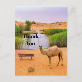 Postal Fauna Oasis de Camellos Foto Gracias