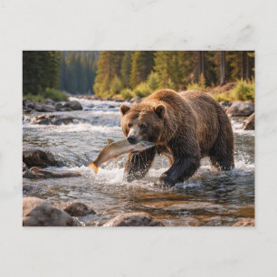 Postal Fauna Oso Pardo Atrapando Pescado
