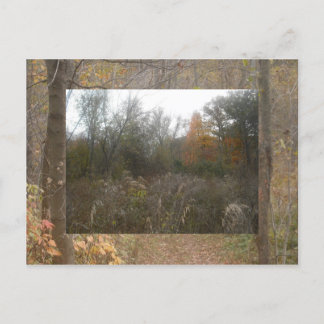 Postal fauna y flora de otoño