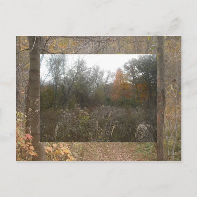 Postal fauna y flora de otoño (Anverso)