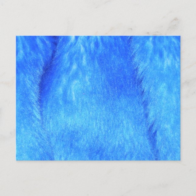 Postal Faux Fur Azul (Anverso)