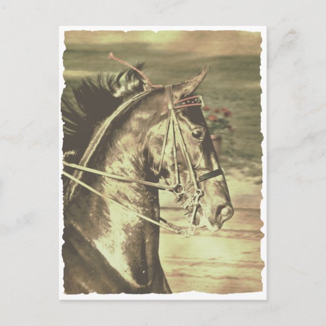 Postal Faux Vintage estadounidense (Anverso)
