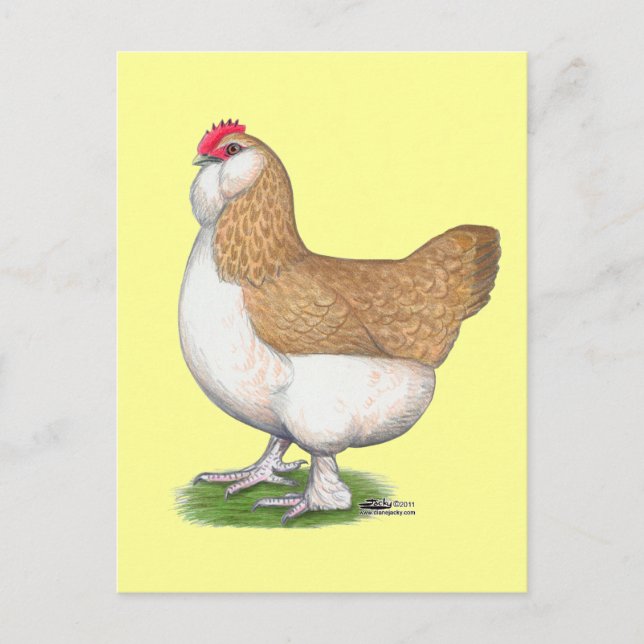 Postal Faverolle Hen (Anverso)