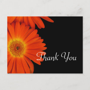 Postal Favor de flores de gerbera margarita naranja elega