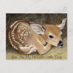 Postal Fawn