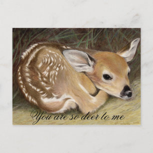 Postal Fawn
