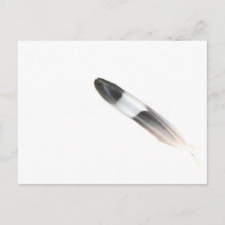 Postal Feather