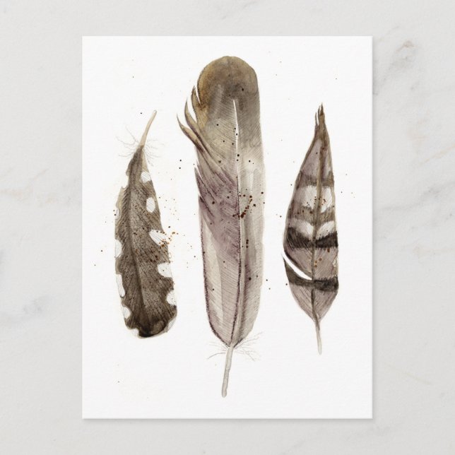 Postal Feathers II (Anverso)